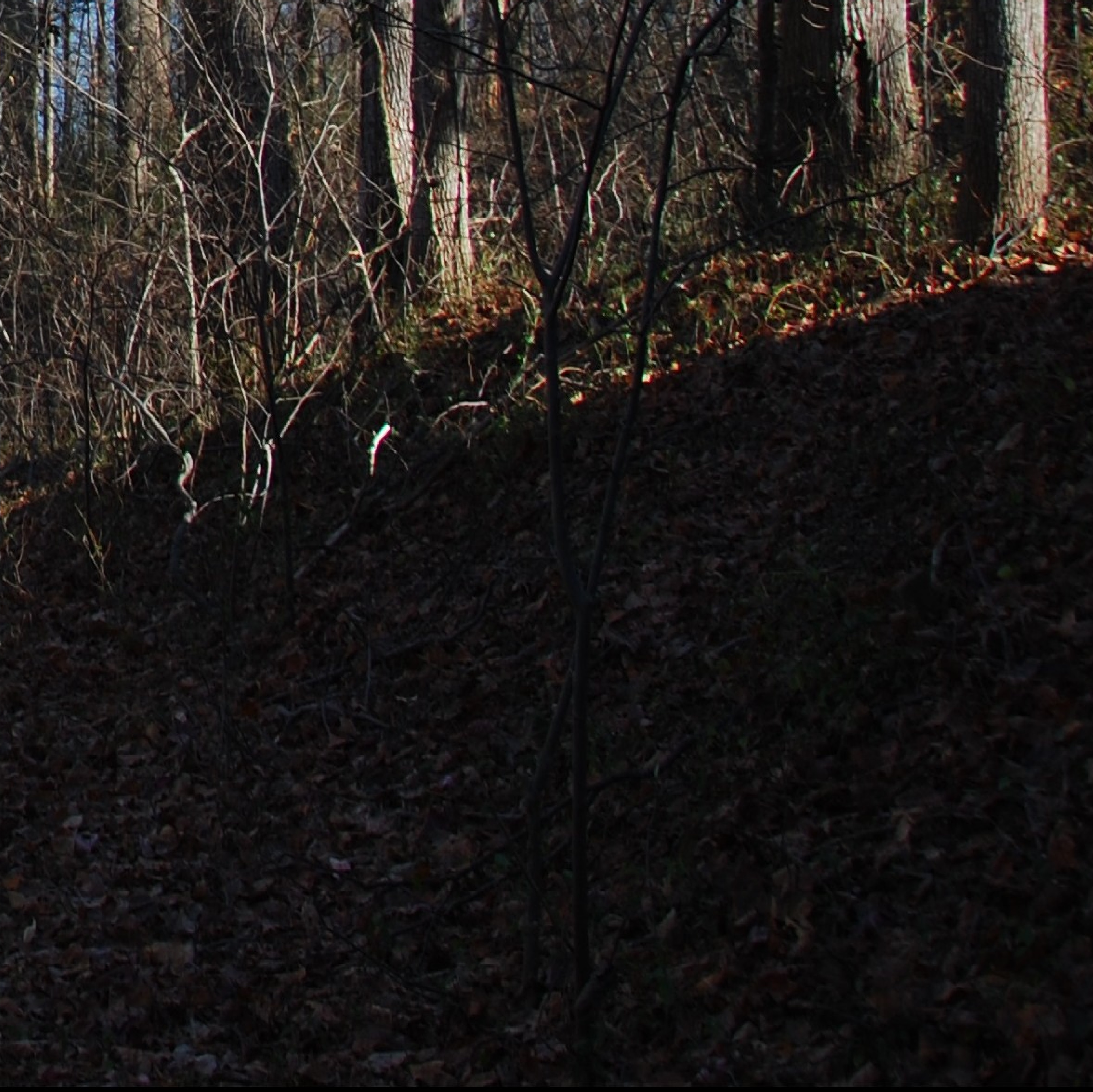 Tracy's Landing Waterview