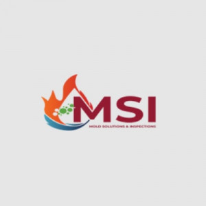 Mold Solutions & Inspections