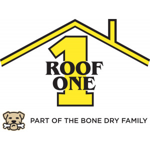 Roof One